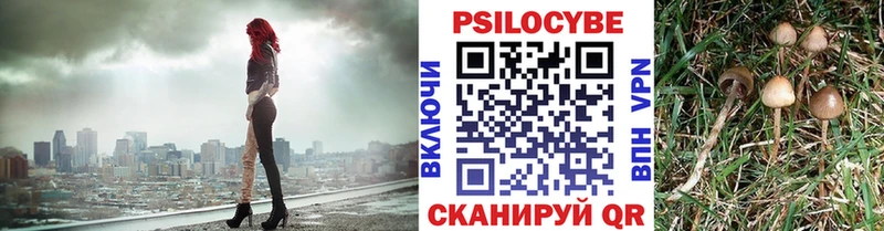 Псилоцибиновые грибы MAGIC MUSHROOMS  Купить закладки  Алексеевка 